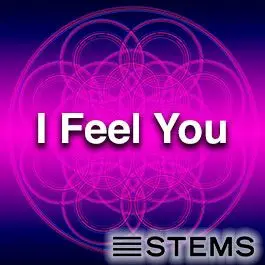I Feel You Tonight STEMSAudio STEMS