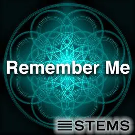 Remember Me STEMSAudio STEMS