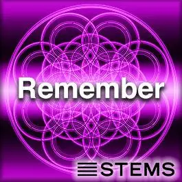 Remember STEMSAudio STEMS