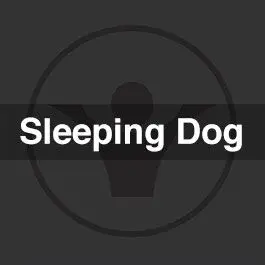 Sleeping Dog RemixStock Music