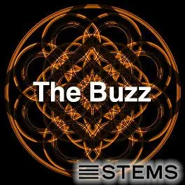 The Buzz - StemsAudio STEMS