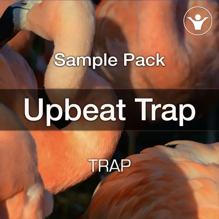 Upbeat Trap Loops and SamplesSample Packs
