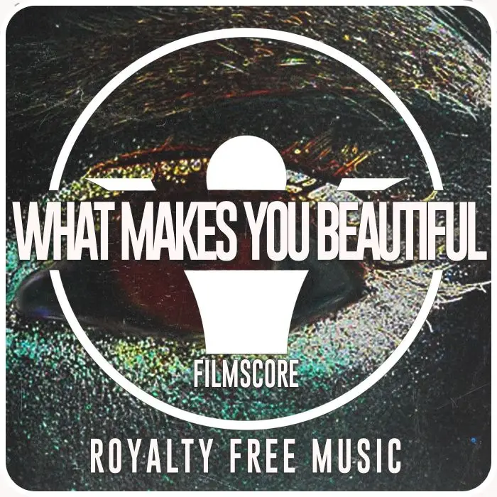 What Makes You BeautifulStock Music