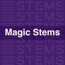 Psy, Ethnic, Magic STEMSAudio STEMS