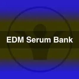EDM Serum PresetsSerum Presets