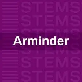 Arminder STEMS+MasteringAudio STEMS