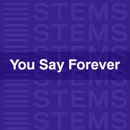You Say ForeverAudio STEMS