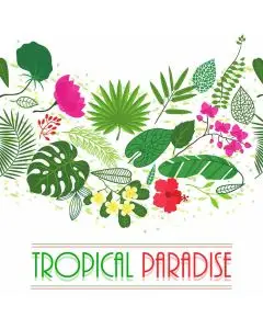 Tropical Paradise