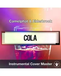 Camelphat & Elderbrook - Cola (Instrumental Cover)