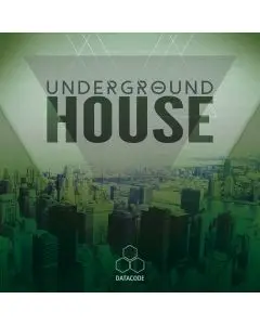 FOCUS Underground House