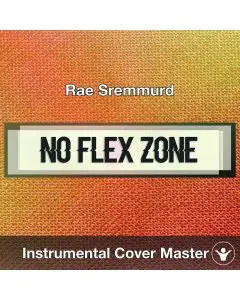 Rae Sremmurd - No Flex Zone (Instrumental Cover)