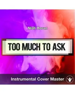 Niall Horan - Too Much To Ask (Instrumental Cover)