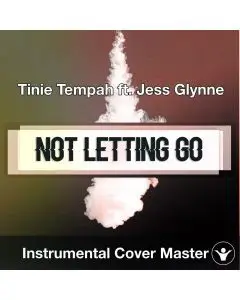 Tinie Tempah ft. Jess Glynne - Not Letting Go (Instrumental Cover)