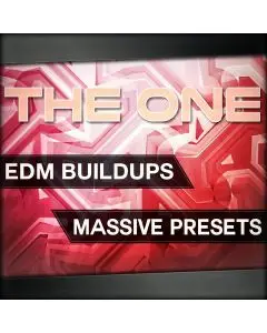 THE ONE: EDM Buildups
