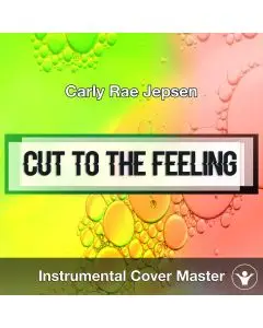 Carly Rae Jepsen - Cut To The Feeling (Instrumental Cover)