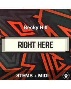 Right Here - Becky Hill - STEMS + MIDI