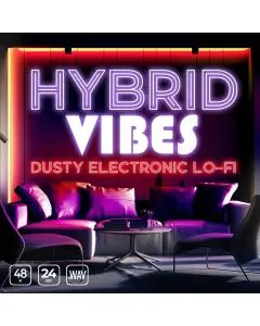 Hybrid Vibes: Dusty Electronic Lo-fi