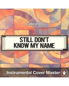 Labrinth - Still Don't Know My Name (Instrumental Cover)