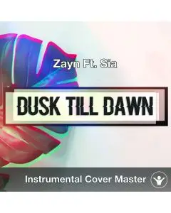 Zayn Ft. Sia - Dusk Till Dawn (Instrumental Cover)
