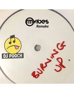 DJ Pooch - Burning Up (Ableton Live Remake)