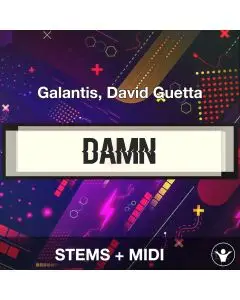 Damn (You’ve Got Me Saying) - Galantis, David Guetta -STEMS + MIDI