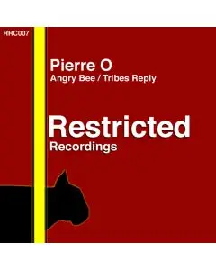Pierre O - Angry Bee (Original mix)