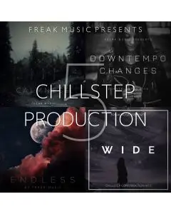 Chillstep Production 5 (Black Friday)