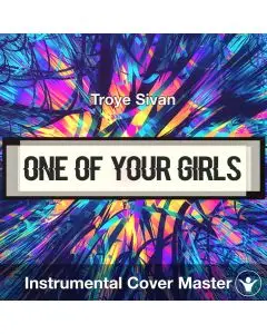 One Of Your Girls - Troye Sivan - Instrumental Cover