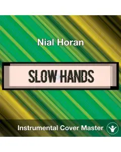 Niall Horan - Slow Hands