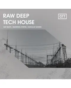Raw Deep Tech House