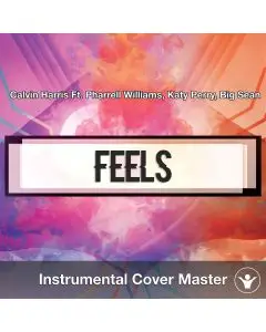Calvin Harris Ft. Pharrell Williams, Katy Perry, Big Sean - Feels (Ins