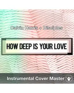 Calvin Harris & Disciples - How Deep Is Your Love (Instrumental Cover)