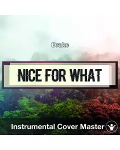 Drake - Nice For What (Instrumental Cover)