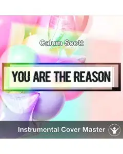 Calum Scott - You Are The Reason (Instrumental Cover)