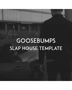 "Goosebumps" Slap House FL Studio 20.8 Template
