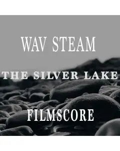 The Silver Lake ( WAV STEMS)