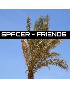 Spacer - Friends