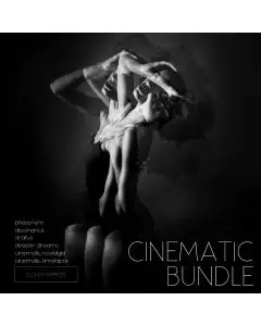 Cinematic Bundle