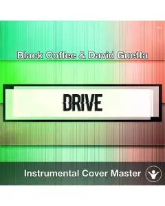 David Guetta & Black Coffee feat. Delilah Montagu - Drive (Instrumental Cover)