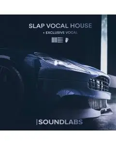 Salp Vocal House (FL Studio v.20.0.8 Template)