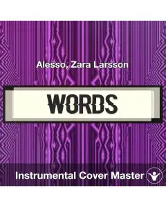 Words - Alesso, Zara Larsson - Instrumental Cover