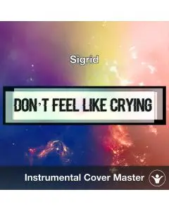 Sigrid - Don't Feel Like Crying (Instrumental Cover)