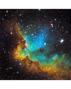 Rainforce Ableton Template