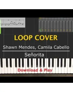 Senorita - Shawn Mendes & Camila Cabello (Alivelooping Cover)