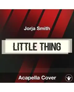 Little Thing - Jorja Smith - Acapella Cover