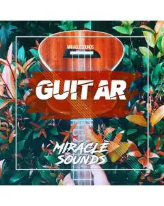 Guitar Sample Pack