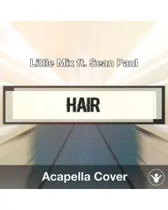 Hair (Little Mix ft. Sean Paul) - Acapella Cover