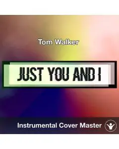 Tom Walker - Just You And I (Instrumental Cover)