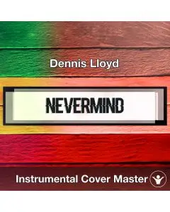 Dennis Lloyd - Nevermind (Instrumental Cover)