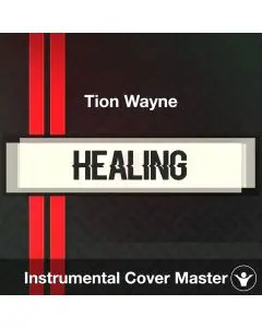 Healing - Tion Wayne - Instrumental Cover